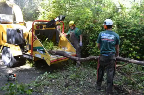 tree services Blackfoot